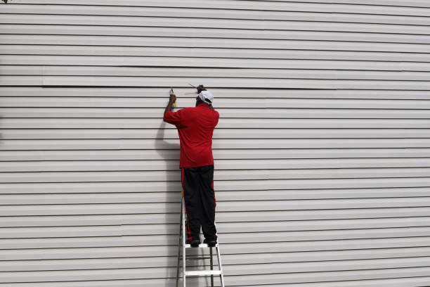 Best Fascia and Soffit Installation  in New Brockton, AL