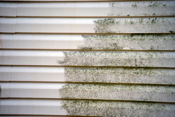 Best Fiber Cement Siding Installation  in New Brockton, AL