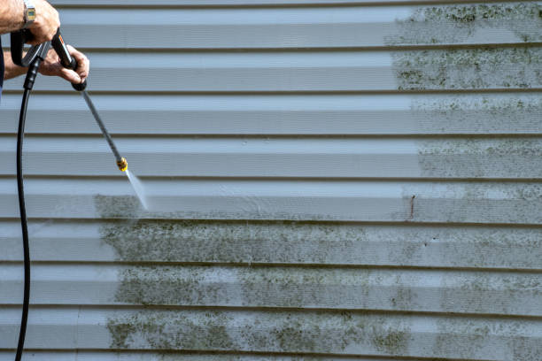 Affordable siding repair and maintenance services in New Brockton, AL