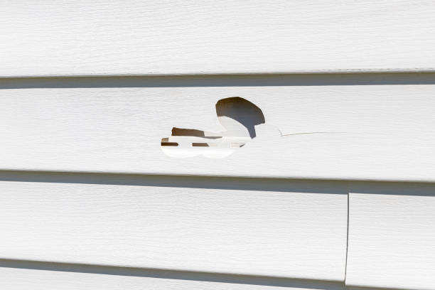 Best Historical Building Siding Restoration  in New Brockton, AL