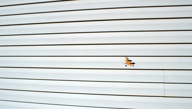 Best Brick Veneer Siding  in New Brockton, AL