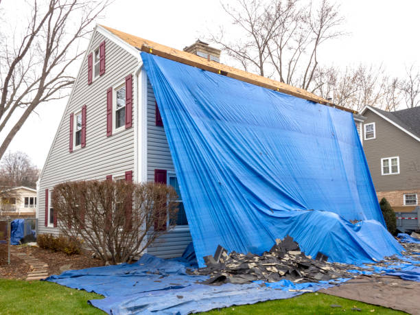 Best Steel Siding Installation  in New Brockton, AL