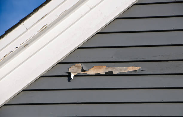 Best Siding for Multi-Family Homes  in New Brockton, AL