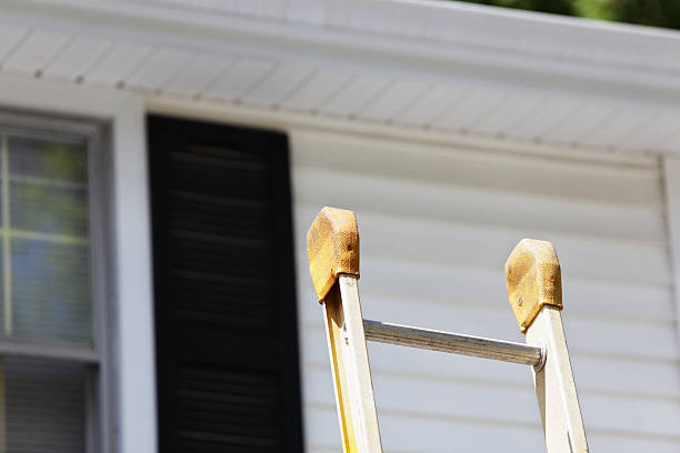 Best Residential Vinyl Siding Installation  in New Brockton, AL