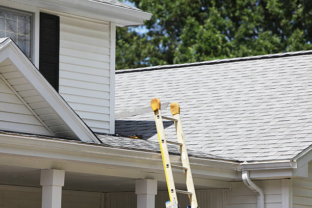 Best Stucco Siding  in New Brockton, AL